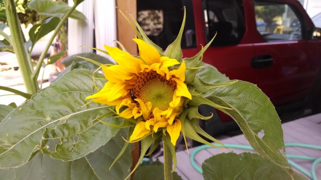 IMG_20140702_082238320