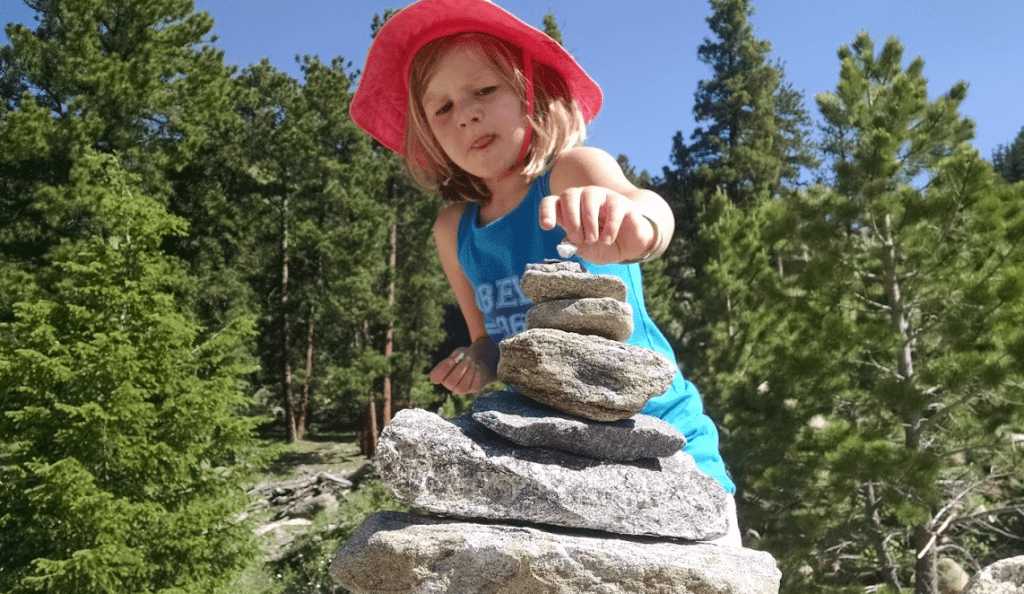 Little Miss 1500 concentrates on her rock pile this past weekend at Rocky Mountain National Park