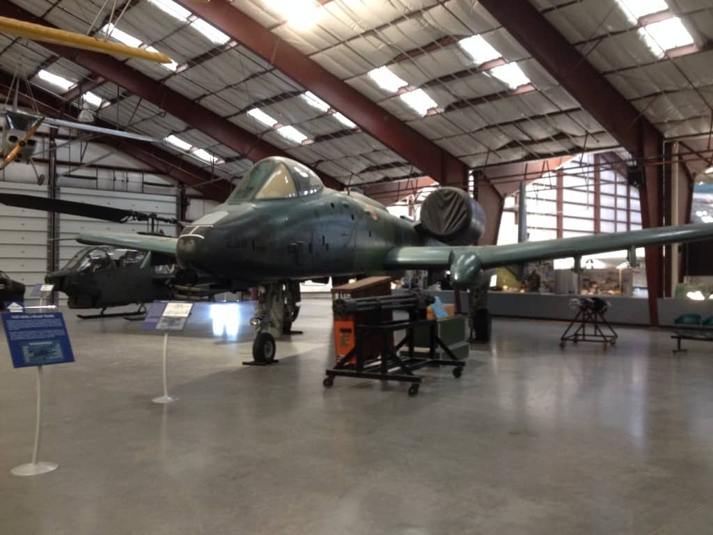 The ugly, but beautiful Warthog